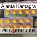 Ajanta Kamagra new10